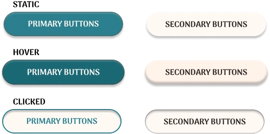 Button States (Static, Hover, Clicked)
