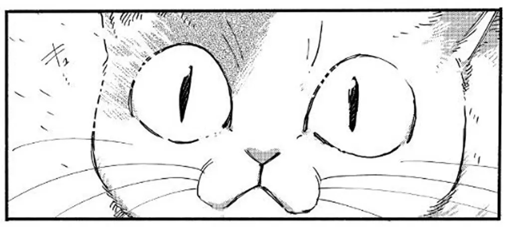 Comic strip showing a cat with normal eyes